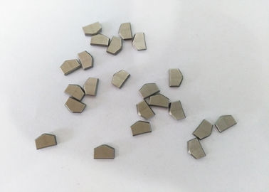 Ketahanan Aus yang Kuat Tip Pengeboran Tungsten Carbide / Carbide Kustom Penambangan Batubara